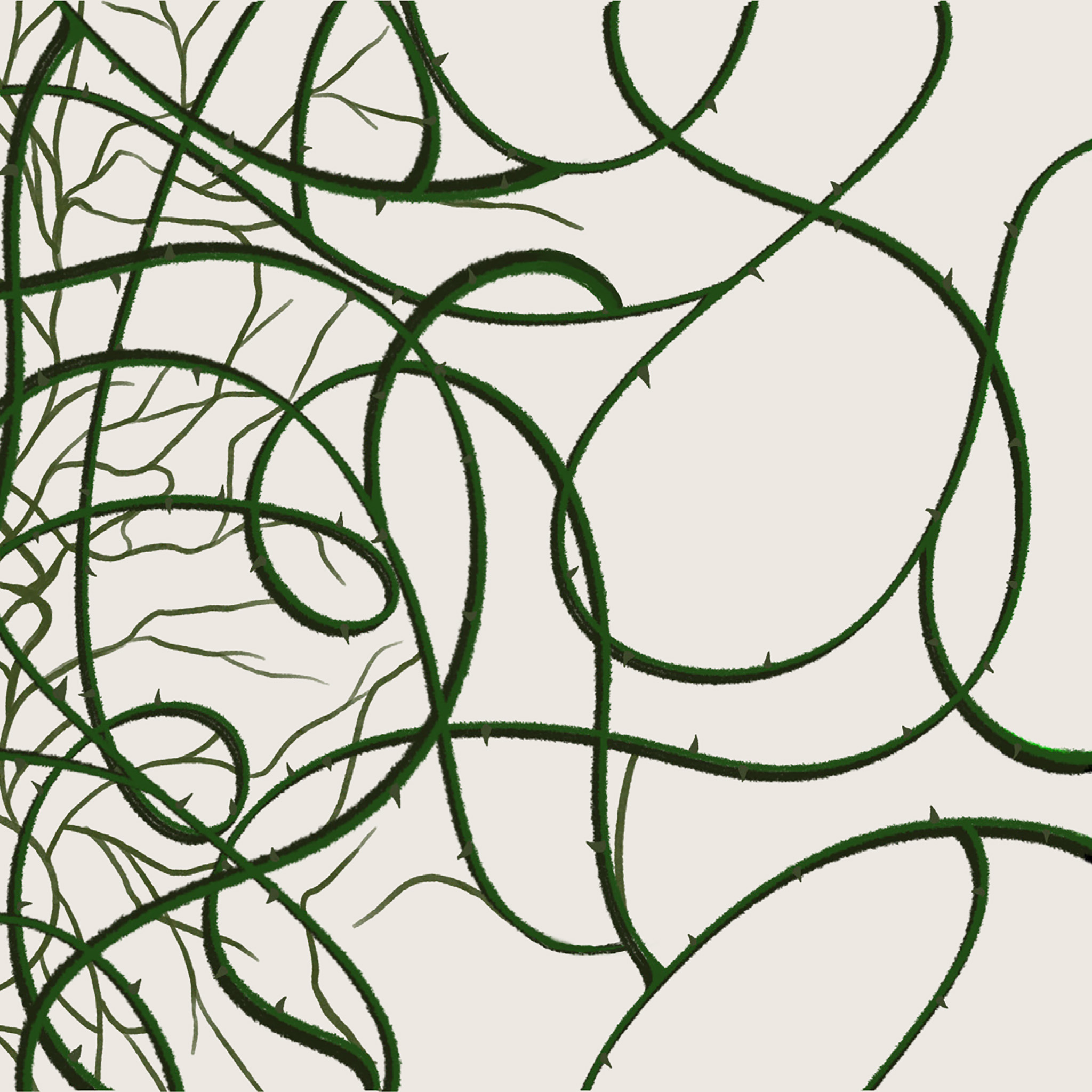 Illustration of twisting brambles intertwining.