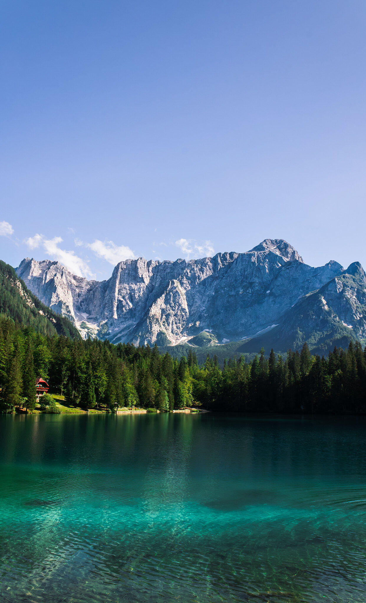 Above the electric blue waters of a still lake sit a forest at the base of the Italian Dolomites.