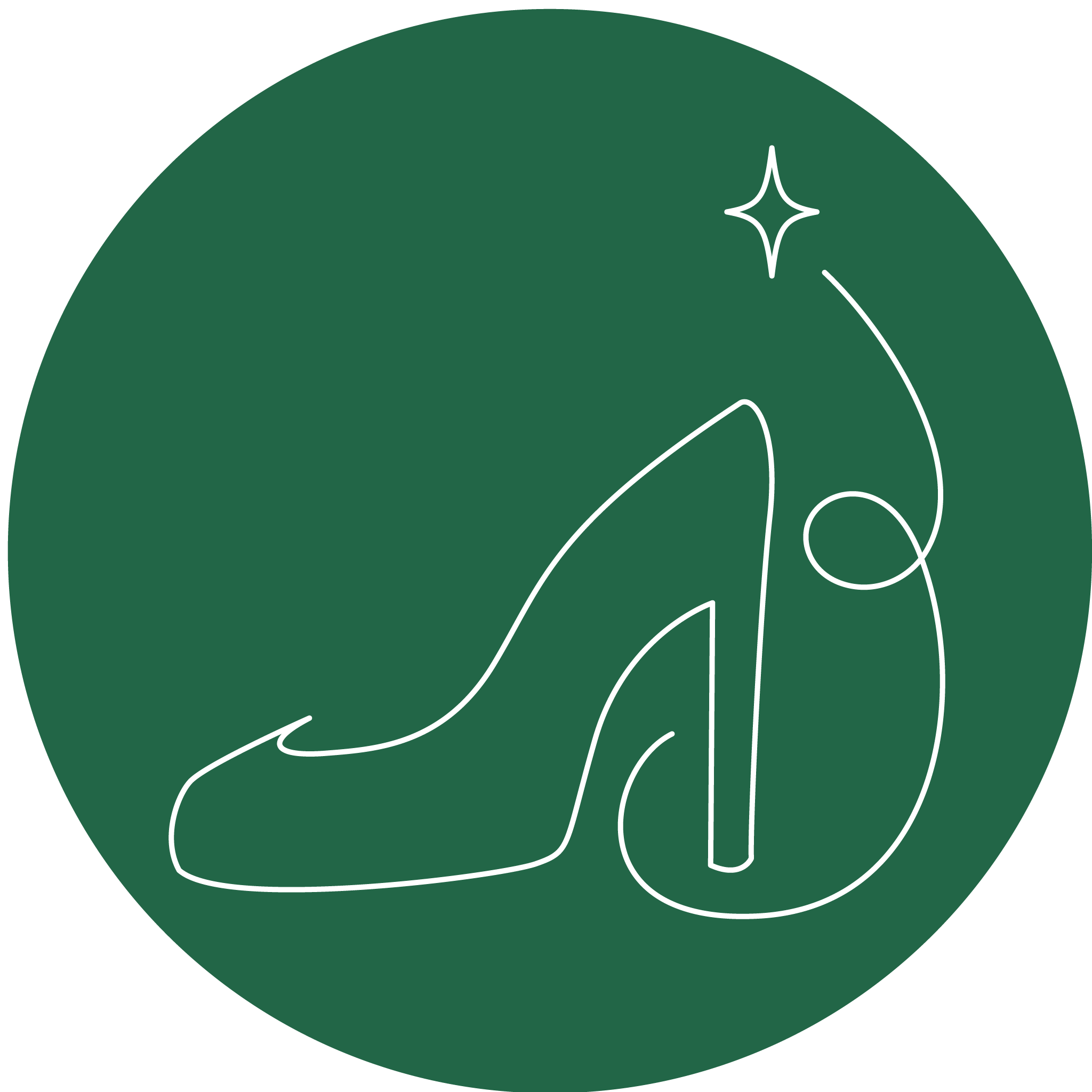 Icon for fashion. A high heel with trail and a star on a green background. Mostly works as decoration on about me page.