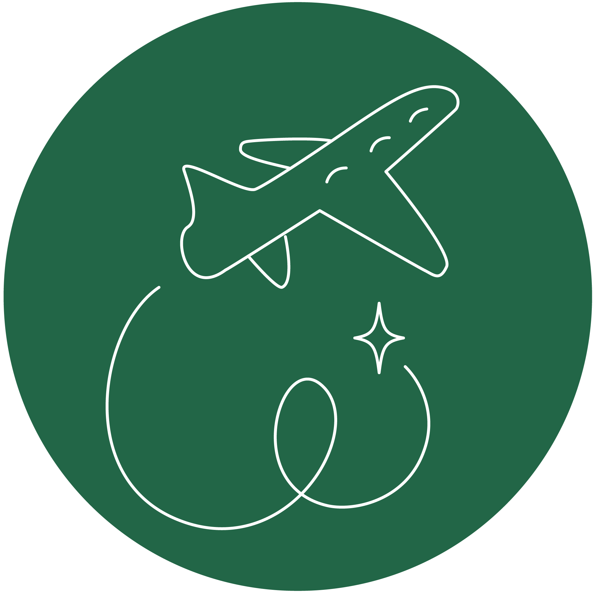 Icon for travel. A plane with trail and a star on a green background. Mostly works as decoration on about me page.