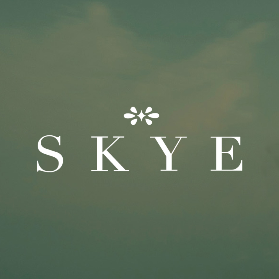 Redesigned word mark logo for Skye Designs on a green background. 