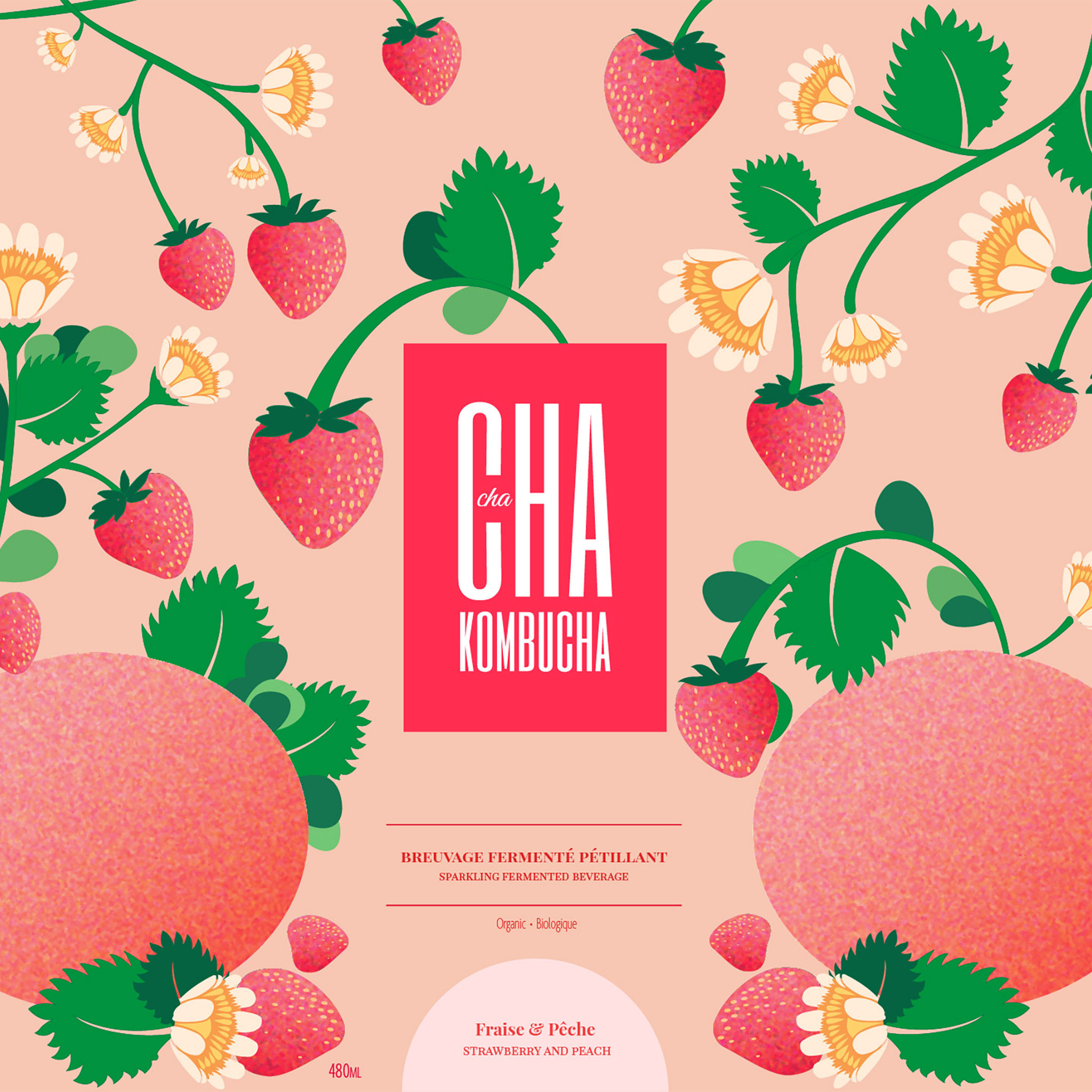 This acts as a thumbnail for the drink packaging project. It features a pink and peach background with illustrated leaves and deep magenta and fuchsia details. The front label say Cha cha Kombucha.